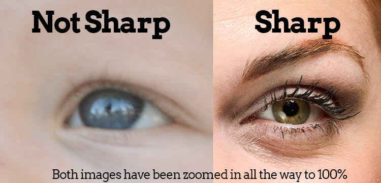sharpness eyes